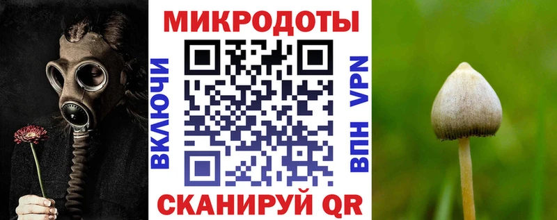 Галлюциногенные грибы прущие грибы  Балашов 