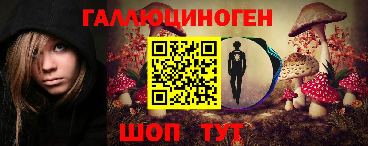 Балашов  Псилоцибиновые грибы GOLDEN TEACHER  Вход с VPN  Псилоцибиновые грибы Cubensis 