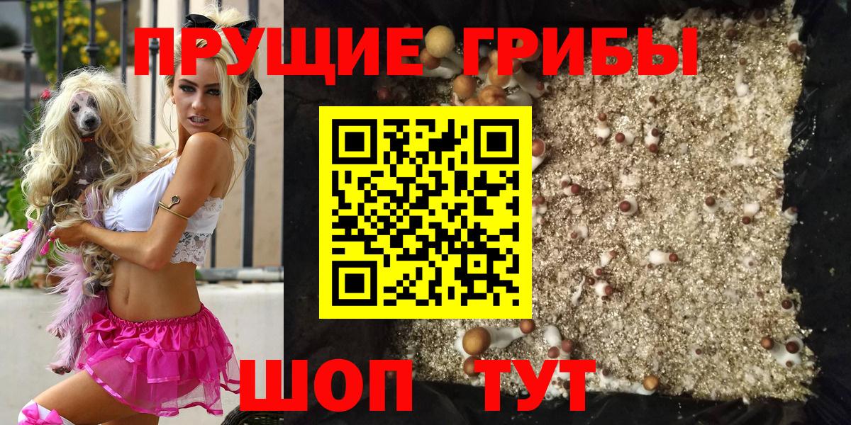 Бошки Шишки Балашов