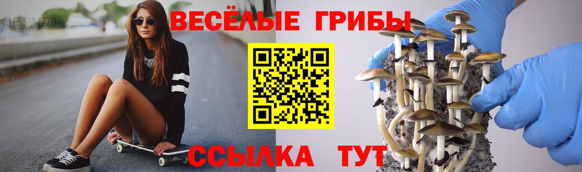 Псилоцибиновые грибы мицелий Балашов